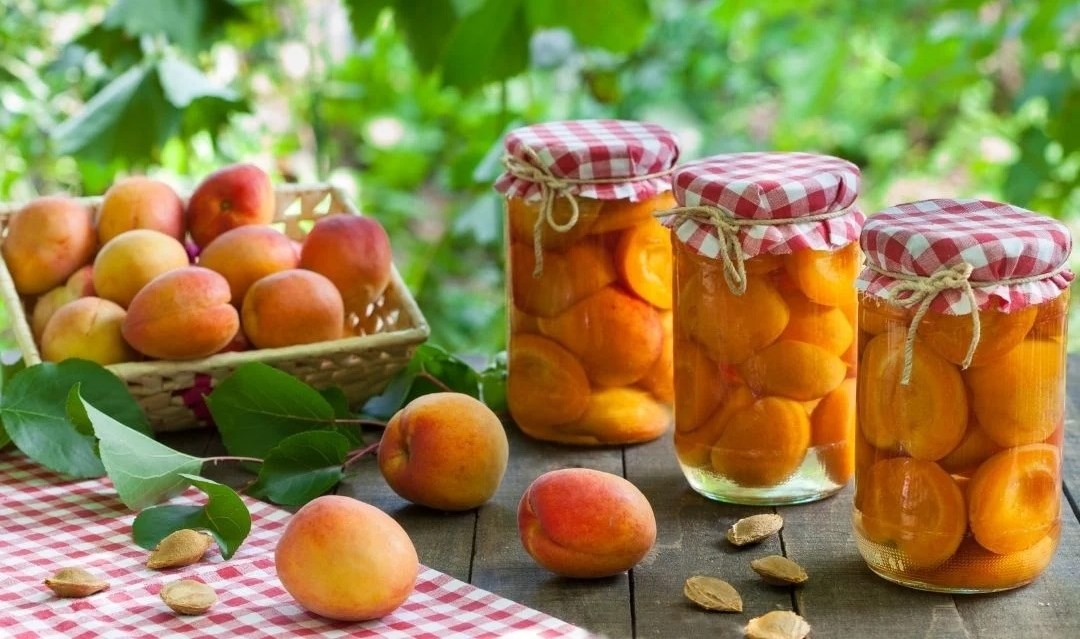 Quả mơ có tác dụng gì với sức khỏe? Quả mơ có tác dụng gì với sức khỏe?